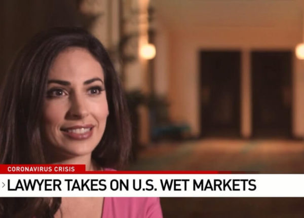 CBS Exclusive - Lawyer Takes on Wet Markets